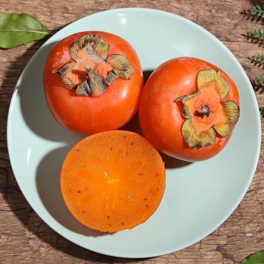 【皮薄肉厚！陕西火晶柿子】柿子吃软不吃硬，皮薄肉质细嫩，富含多种维生素，营养价值丰富，产地直发当季应季水果，小柿子火晶柿子L 商品图0