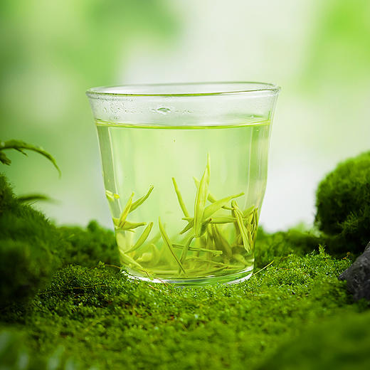 【宜茶甄选】峡州早茶 商品图10