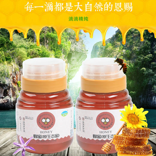 蜂唛丨广州从化蜂唛蜂蜜（原生态蜜）  500g/瓶 商品图4