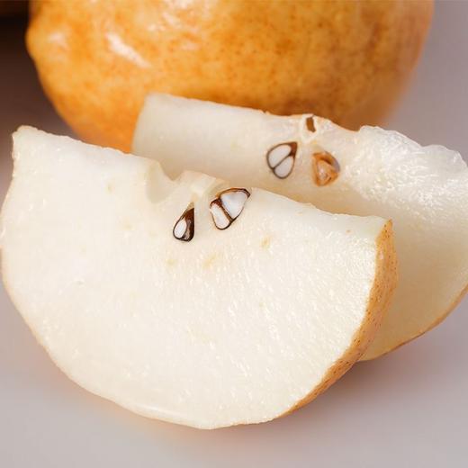 【舌尖上的甜蜜！山东中华丑梨】丑与美味的碰撞，存留舌尖的甜蜜，软糯多汁，山东品质丑梨，精挑细选，用心倾注好味道，新鲜水果软梨啤梨L 商品图4