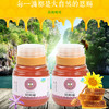 蜂唛丨广州从化蜂唛荔枝蜜  500g/瓶 商品缩略图4