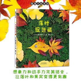 【换社新书】落叶捉迷藏——精装 2岁以上 落叶果实 想象力动手能力 实物造型实景拍摄 秋天 秋季 好奇心 大自然