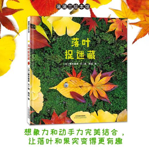 【换社新书】落叶捉迷藏——精装 2岁以上 落叶果实 想象力动手能力 实物造型实景拍摄 秋天 秋季 好奇心 大自然 商品图0