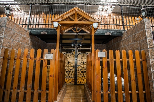 犬儿小驿 商品图4