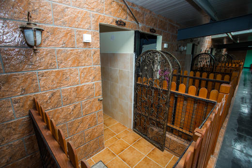 犬儿小驿 商品图3