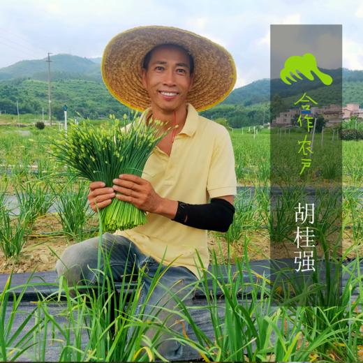 生态糯玉米  | 合作生产 *  Eco-Waxy corn  | Coproduction 商品图1