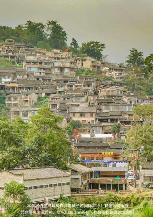 【千年之约】 跨省湘粤双杏双享纯玩3天 商品图2