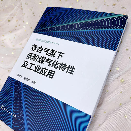 复合气氛下低阶煤气化特性及工业应用 商品图4