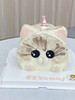 哇哦，一只可爱的猫！（异形蛋糕） 商品缩略图0