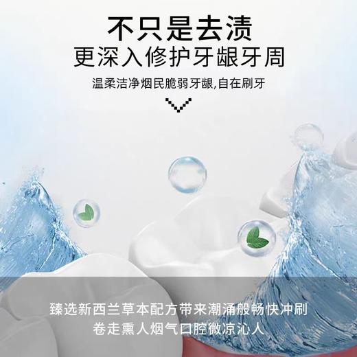 新西兰红印牌烟民去渍牙膏 商品图2