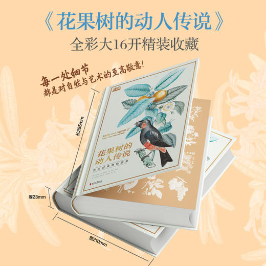 花果树的动人传说：百年经典博物画集 精装 商品图8