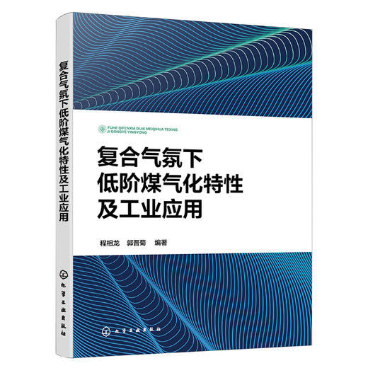 复合气氛下低阶煤气化特性及工业应用 商品图1