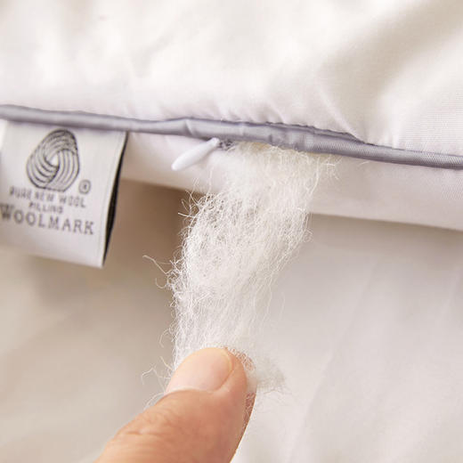 三泰龙 100%纯羊毛被芯加厚保暖秋冬被 商品图3