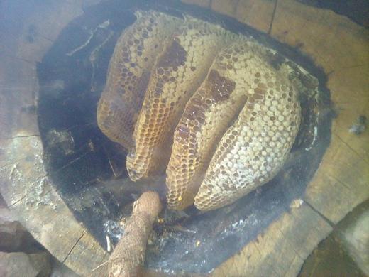 高原深山野生百花蜜 商品图1