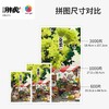 心选定制 H3855 我不是胖虎-夏至 商品缩略图4