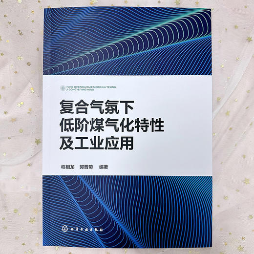 复合气氛下低阶煤气化特性及工业应用 商品图2