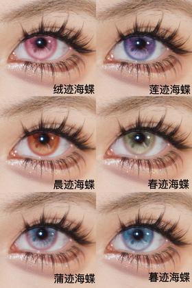 illusionduck半年抛 晨迹海蝶/春迹海蝶/莲迹海蝶/蒲迹海蝶/暮迹海蝶 14.5mm 非离子