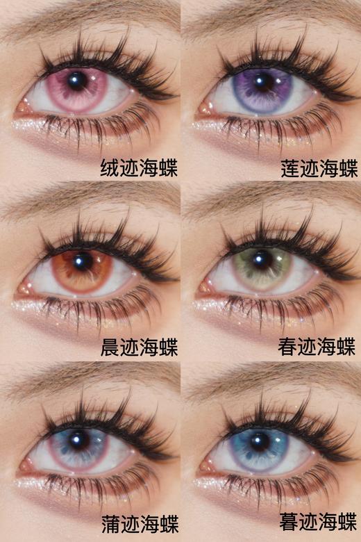 illusionduck半年抛 晨迹海蝶/春迹海蝶/莲迹海蝶/蒲迹海蝶/暮迹海蝶 14.5mm 非离子 商品图0