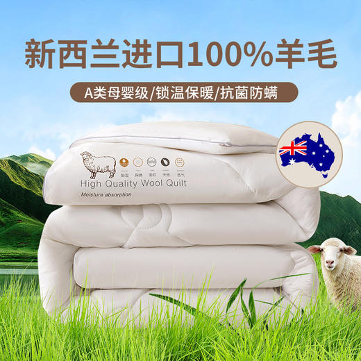 三泰龙 100%纯羊毛被芯加厚保暖秋冬被 商品图0