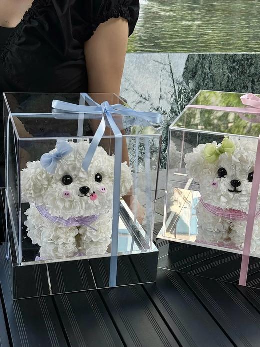 网红爆品迷你比熊永生花生日送花送闺蜜送女朋友特别礼物 商品图6