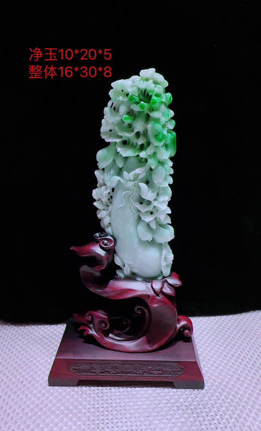 620469【飞黄腾达】 商品图0