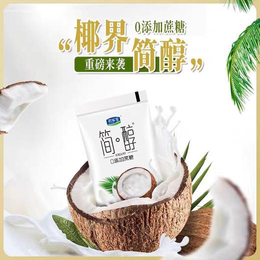 君乐宝简醇椰果风味酸牛奶150g*6-22203816 商品图1