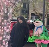 错过不再有 HELLY HANSEN/HH海里汉森男士户外登山防寒防风冲锋衣羽绒服 商品缩略图4
