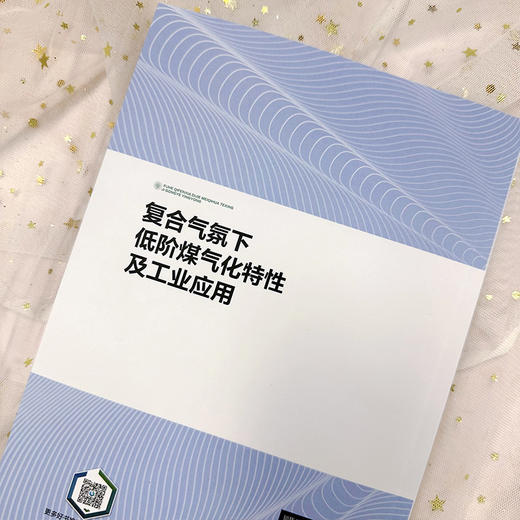 复合气氛下低阶煤气化特性及工业应用 商品图6