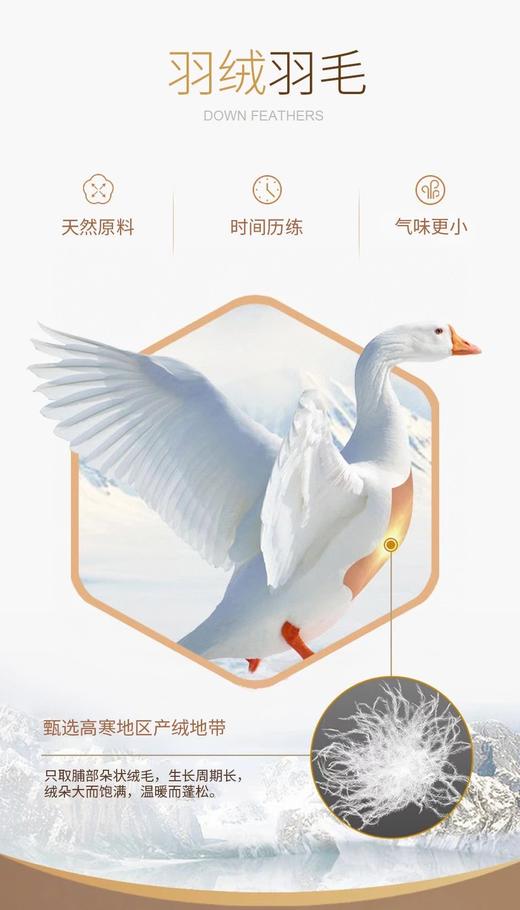 M1臣禾慕斯裤 松紧腰休闲裤【黑科技面料 中间层含羽绒羽毛】JZ244060175 商品图8