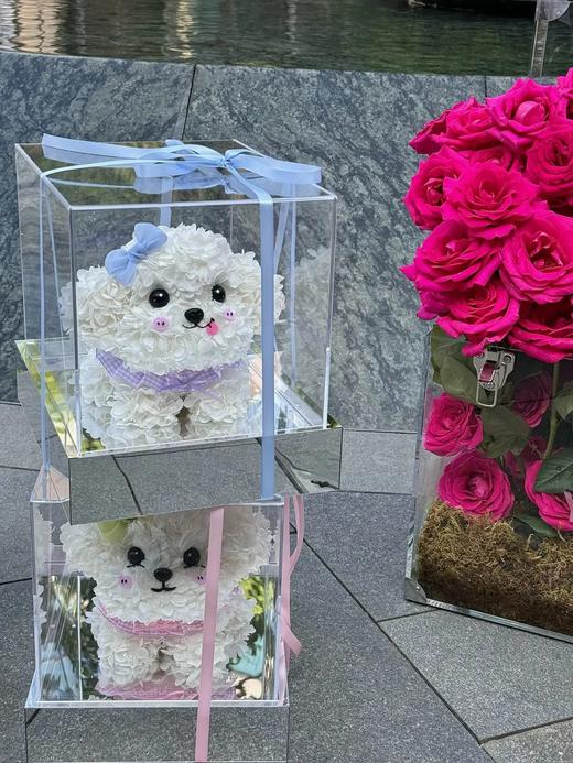 网红爆品迷你比熊永生花生日送花送闺蜜送女朋友特别礼物 商品图1