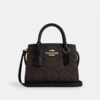 COACH-经典标志ANDREA CARRYALL手袋  CV974 IMQRX 商品缩略图0