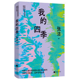 我的四季