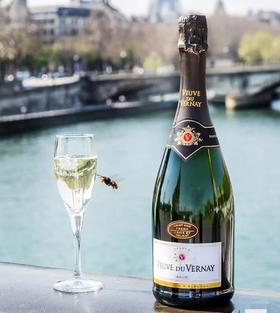 【法国起泡酒】薇夫人天然型起泡葡萄酒 Veuve du Vernay Brut Sparking Wine