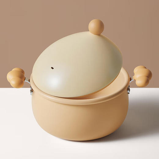 炊大皇 布偶20cm汤锅 不粘锅 煲汤炖煮熬粥汤奶锅 明火专用 BO20TG 商品图3