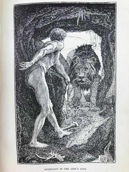 1908年 安德鲁·朗格《动物故事集》 60余幅插图 漆布精装32开 商品图11