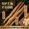怀山堂河南温县垆土新鲜有机铁棍怀山药40公分长5斤重整箱 商品缩略图4