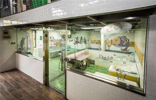 犬儿洁浴 商品图8