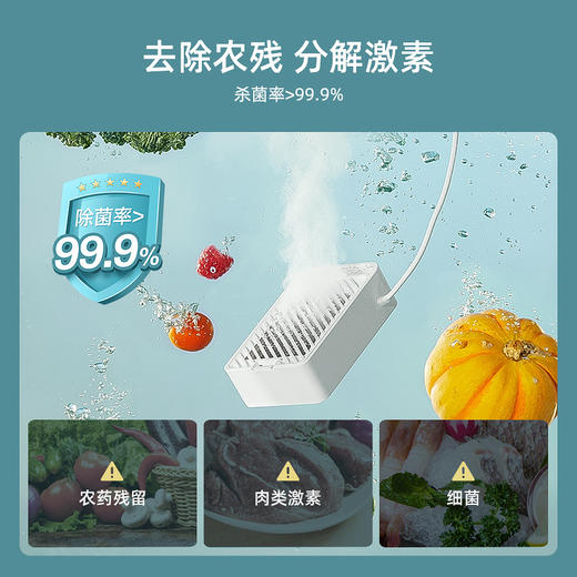 德国蓝宝果蔬清洗机家用食材净化洗菜器蔬菜洗水果卫士 心选到家 商品图2