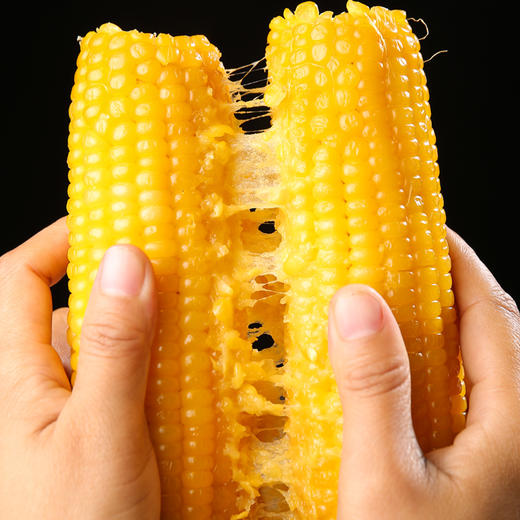 山西 香糯玉米 糯黑玉米/ 叶酸甜糯玉米/黄金糯玉米，多种选择，尽享美味粗粮 商品图6
