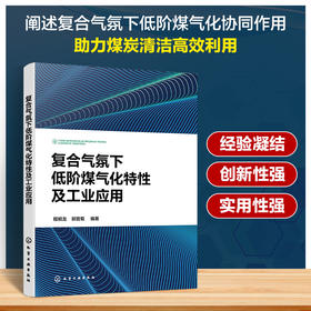 复合气氛下低阶煤气化特性及工业应用