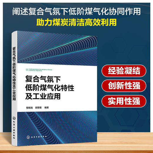 复合气氛下低阶煤气化特性及工业应用 商品图0