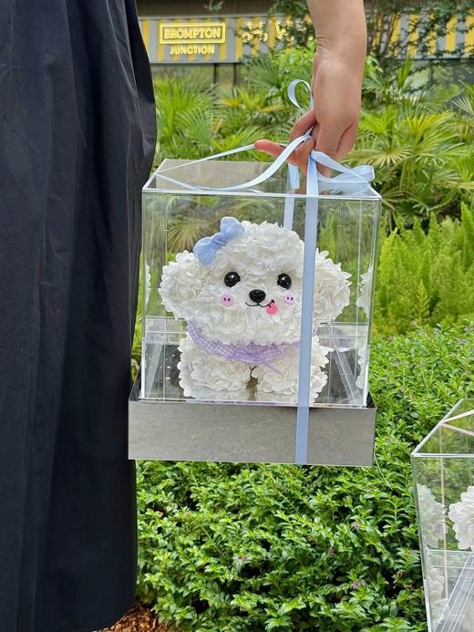 网红爆品迷你比熊永生花生日送花送闺蜜送女朋友特别礼物 商品图0