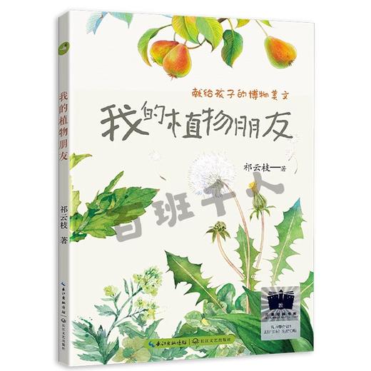 我的植物朋友   四年级正版现货速发|名师推荐|小学生课外阅读4年级儿童课外读物 商品图0