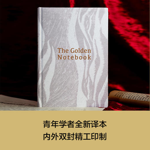 【莱辛作品】金色笔记 商品图3