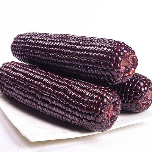 【绮】谷苞苞-甜糯玉米年轻乐享装 商品图0