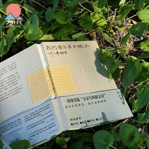 我们劳作在大地上：一部现实版“父亲写的散文诗”叶小平著 商品图2