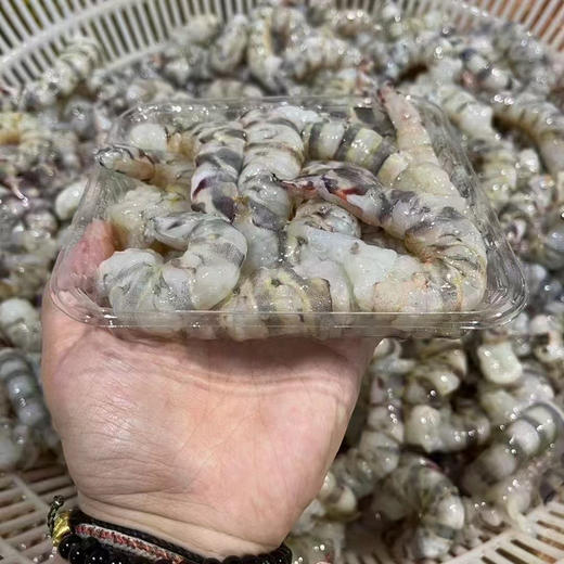 野生中号竹节虾 商品图12