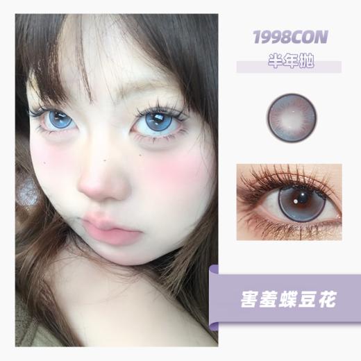 害羞蝶豆花（半年抛型） 商品图0