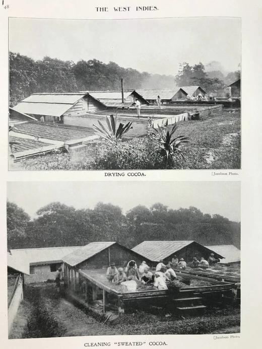 1909年 西印度群岛风物志 数百幅插图 漆布精装16开 商品图13