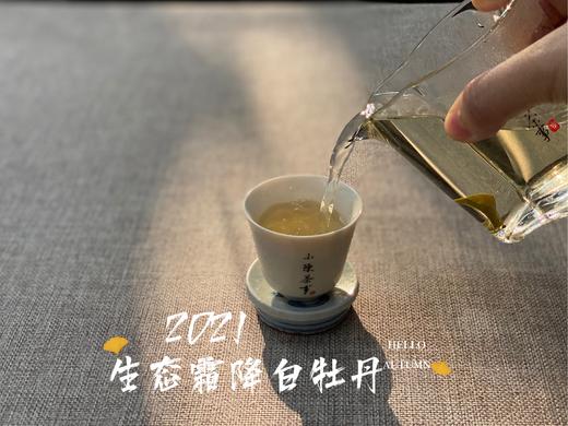 【世所罕见的珍藏级好茶】2021有机霜降白牡丹，每4年独一份的好茶，藏在深深深秋里的春意盎然 商品图5